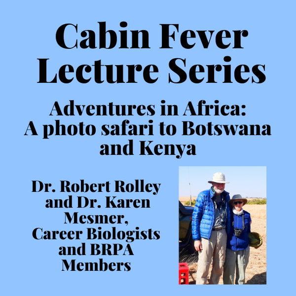 Cabin Fever Lecture Series 1 slide