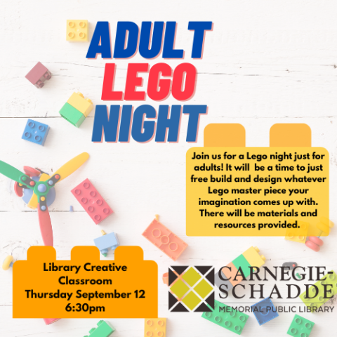 Adult Lego Night