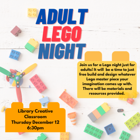 Adult Lego Night