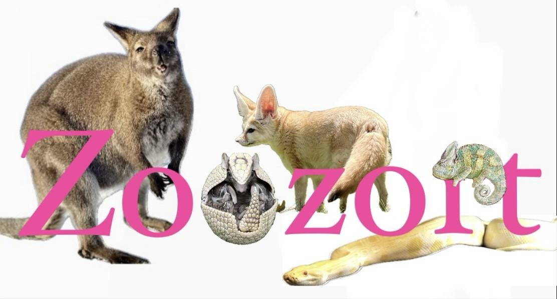 Animals and the name Zoozort