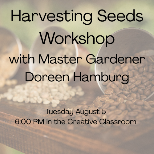 Harvesting Seeds Workshop